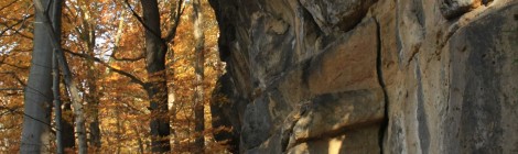 Felswand im Herbst