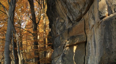 Felswand im Herbst