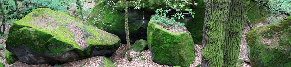 Nationalpark Sächsische Schweiz