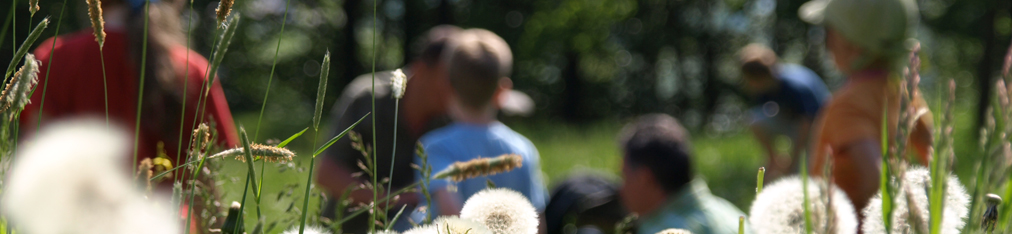 Nationalpark Sächsische Schweiz