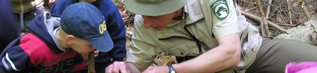 Nationalpark Sächsische Schweiz