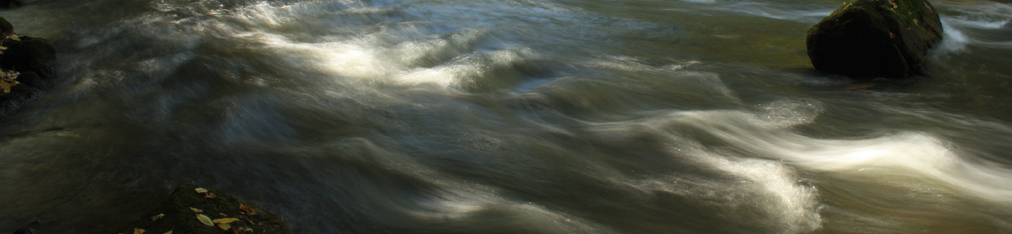 Nationalpark Sächsische Schweiz