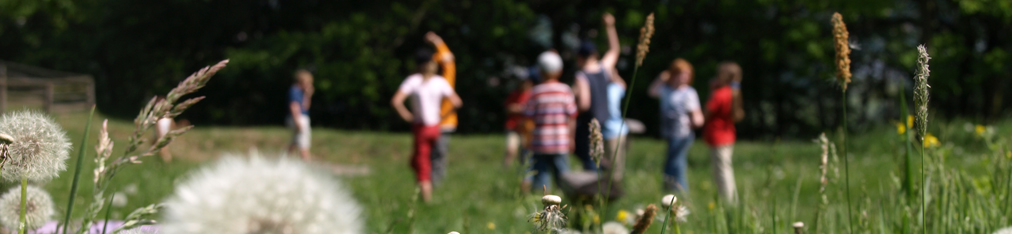 Nationalpark Sächsische Schweiz