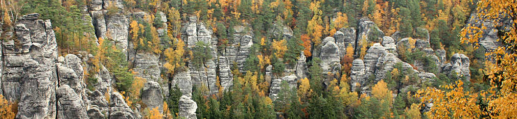 Nationalpark Sächsische Schweiz