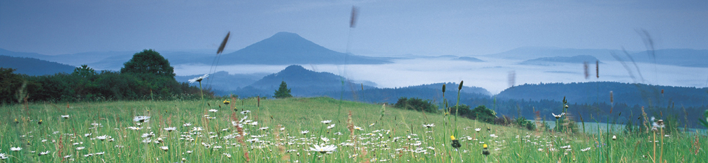 Nationalpark Sächsische Schweiz