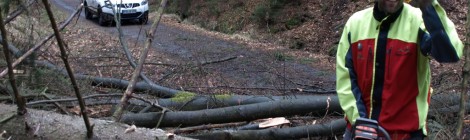 Nationalparkranger Marko Hänsel beim Beseitigen der Sturmschäden/ Foto: Nationalparkverwaltung