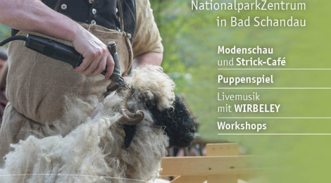13. Wollfest – am Samstag im Garten des NationalparkZentrums