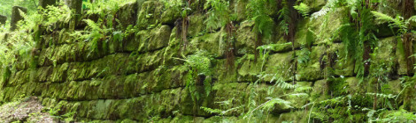 (Deutsch) Grundhafte Sanierung des Notweges nach Ostrau im Nationalpark