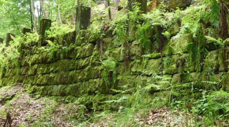 (Deutsch) Grundhafte Sanierung des Notweges nach Ostrau im Nationalpark
