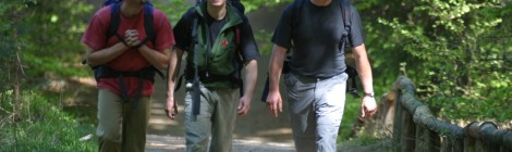 Wanderer auf einem Weg