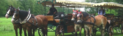 2 Pferdekutschen