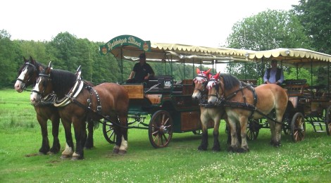 2 Pferdekutschen