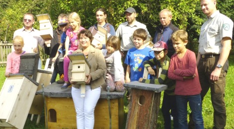 Freiwillige mit Nisthilfen