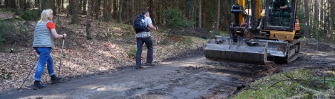 Nach dem Einsatz von Maschinen auf den Waldwegen im Nationalpark glättet ein Mitarbeiter der Nationalparkverwaltung mit einm kleinen Bagger den Weg