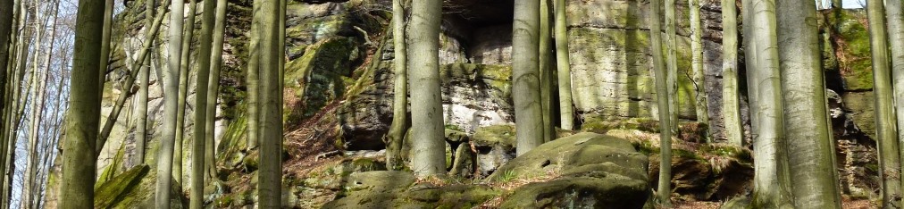 Nationalpark Sächsische Schweiz