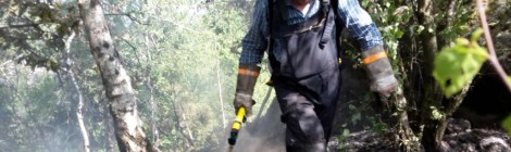 Wieder Brandstifter im Nationalpark