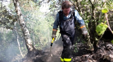 (Deutsch) Wieder Brandstifter im Nationalpark