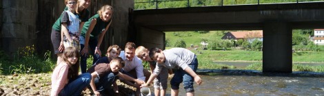 Der Königsteiner Bürgermeister Kummer schöpft mit Junior Rangern Taufwasser aus der Biela