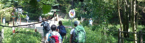 Junior Ranger wandern über Grenze