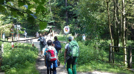 Junior Ranger wandern über Grenze