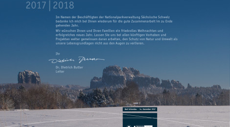 Neujahrsgruß mit Schneekulisse