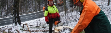 (Deutsch) Aufräumarbeiten im Nationalpark laufen
