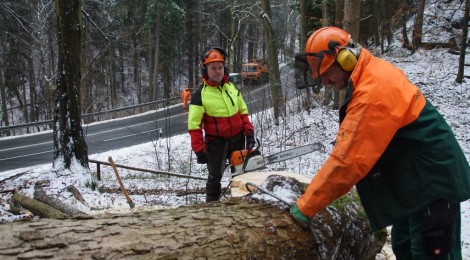 (Deutsch) Aufräumarbeiten im Nationalpark laufen
