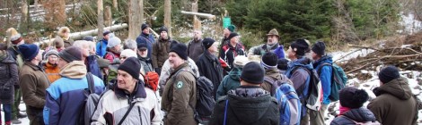 Eine Gruppe ehrenamtlicher Helfer betrachtet die Umwandlung des Fichtenwaldes, nachdem Borkenkäfer die Altbäume zum absterben gebracth haben und junger Wald nachwächst.