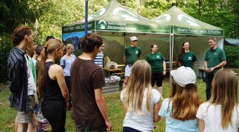(Deutsch) Zweites Sächsisches Junior Ranger Camp ist gestartet