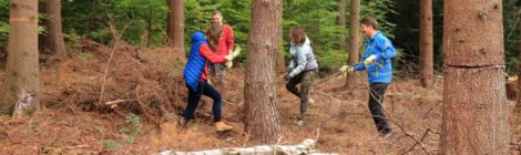 Königsteiner Oberschüler packen bei Arbeitseinsatz an