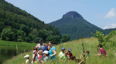 Umweltbildung an den Elbwiesen