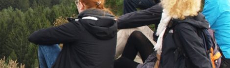 Ein Nationalparkmitarbeiter erläutert von einem Aussichtspunkt Besonderheiten im Nationalpark