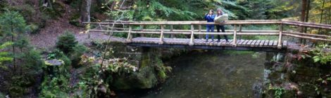 Die Dreisteigenbrücke ist erneuert und kann jetzt wieder sicher begangen werden.