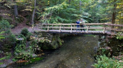 Die Dreisteigenbrücke ist erneuert und kann jetzt wieder sicher begangen werden.