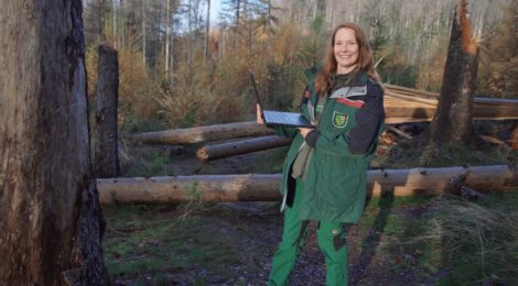 Beke Hielscher ist neue Betriebsleiterin der Nationalparkverwaltung und prüft die Entwicklung des Waldes nachdem zahlreiche Fichten durch den Borkenkäfer zum Absterben gebracht wurden