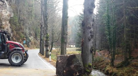 Ein rund eini Kubukmeter großer Stein lößte sich bei Fällarbeiten im Steilhang und rollte bis zu rStraße. Dank der Sicherheitsvorkehrungen, mit einre Ampel wurde der Verkehr angehalten, ist nichts passiert.