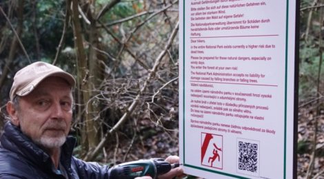 GEfahrenhinweisschild wegen morscher Fichten nach Borkenkäferbefall