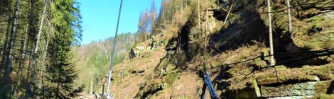 Eine Autokran hebt Bäume aus dem steilen Hang