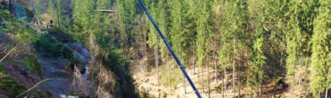 Es war eine gefährliche Arbeit, die abgestorbenen Bäume im steieln Hang zu fälllen udn mit dem Kran nach unten zu befördern