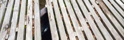 Eine kaputte Wanderwegbrücke muss teuer repariert werden.