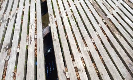 Eine kaputte Wanderwegbrücke muss teuer repariert werden.