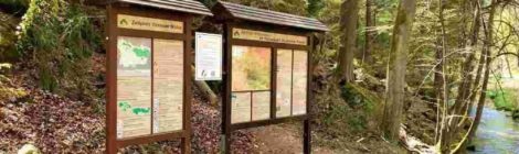 Infotafel am Fluß Kirnitzsch