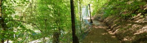 Ein Zaun quer zu einem Hang dient dazu, dass keine Bäume und Steine auf die Straße fallen.