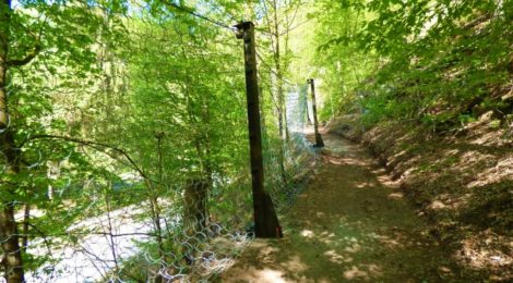Ein Zaun quer zu einem Hang dient dazu, dass keine Bäume und Steine auf die Straße fallen.