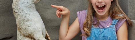 das Nationalparkzentrum ist wieder offen.