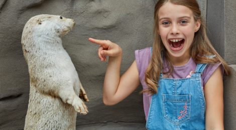 das Nationalparkzentrum ist wieder offen.