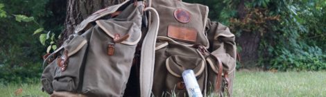 (Deutsch) Bildungsprogramme im Nationalpark - Es geht langsam wieder los