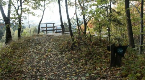 (Deutsch) Waldhusche und Weg an der Amselfallbaude wieder geöffnet