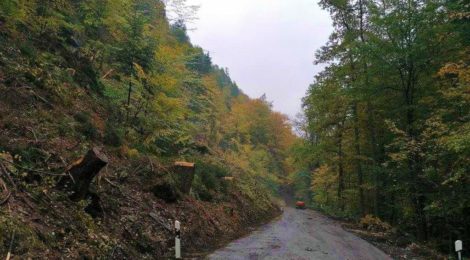 Eine Straße in einem tiefen Tal wird nach Baumfällarbeiten bald wieder geöffnet