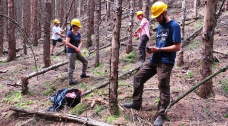 Mitarbeiter der Universität Eberswalde bereiten Messungen zur Entwicklung der Vegettion im Nationalpark Sächsische Schweiz vor, um zu erforschen, wie sich der Wald nach dem großflächigen Absterben von Fichten durch den Befall von Borkenkäfern entwickeln wird.